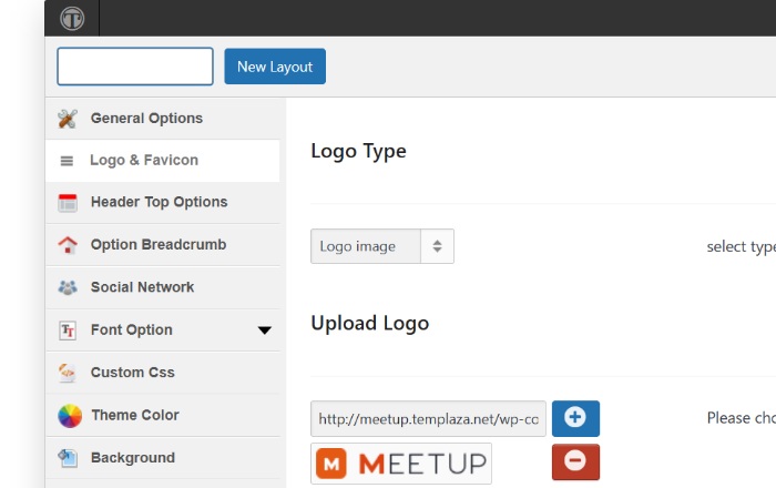 Flexible <em>theme options</em> panel